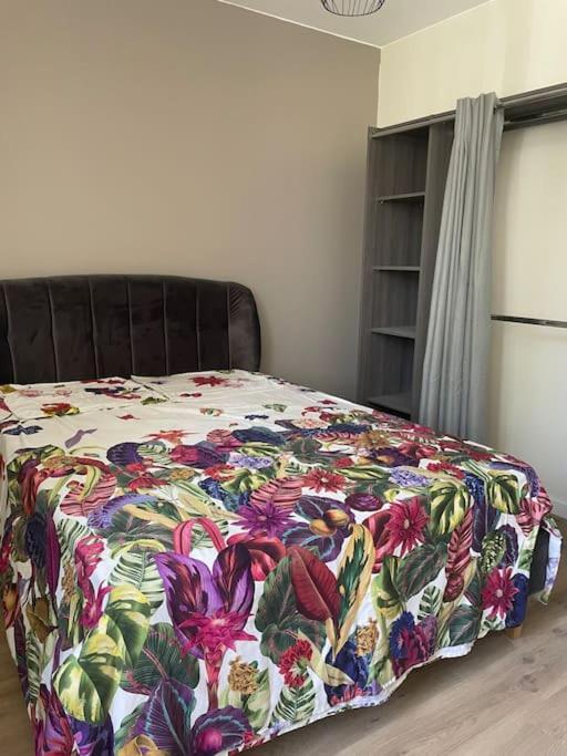 Maison 5 Chambres 3Sdb En Ville Avec Piscine Périgueux Eksteriør bilde